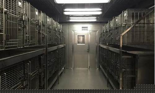苏州动物实验室设计装修效果图大全最新(苏州实验动物饲养员招聘)