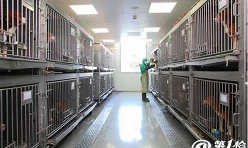 苏州动物实验室装修厂商电话地址查询(苏州市实验动物协会)